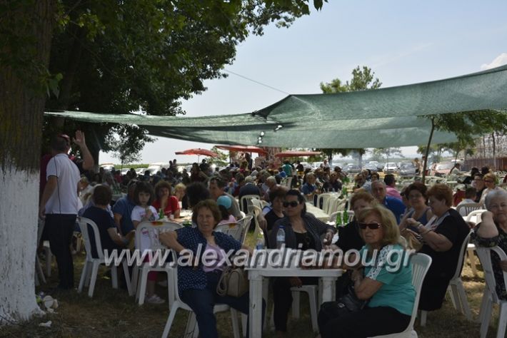 alexandriamou.gr_trikala28.5.2018223